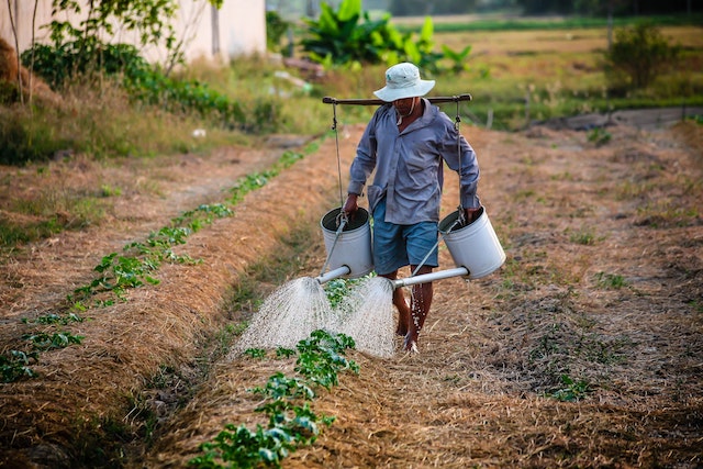 adult-agriculture-backyard-planting-162637